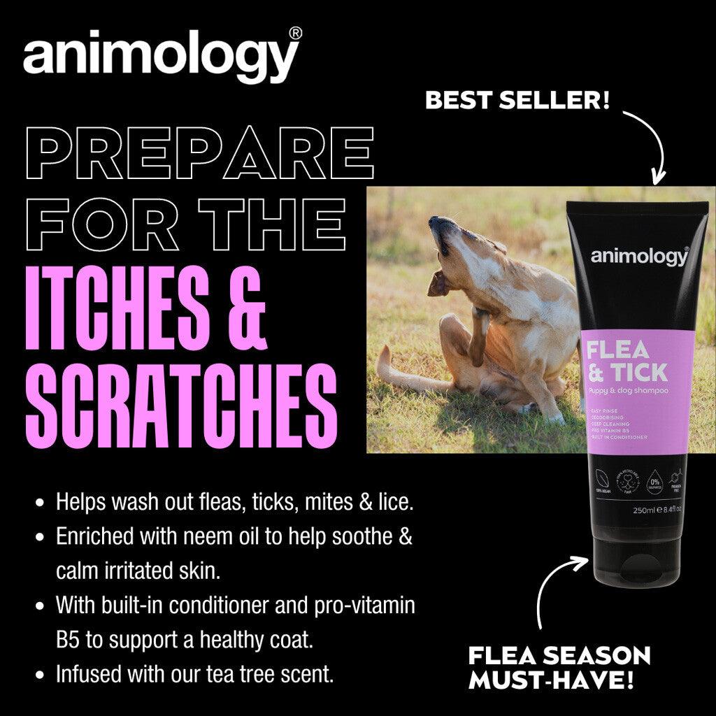 Animology Flea & Tick Dog Shampoo 250 ml - Zimpel