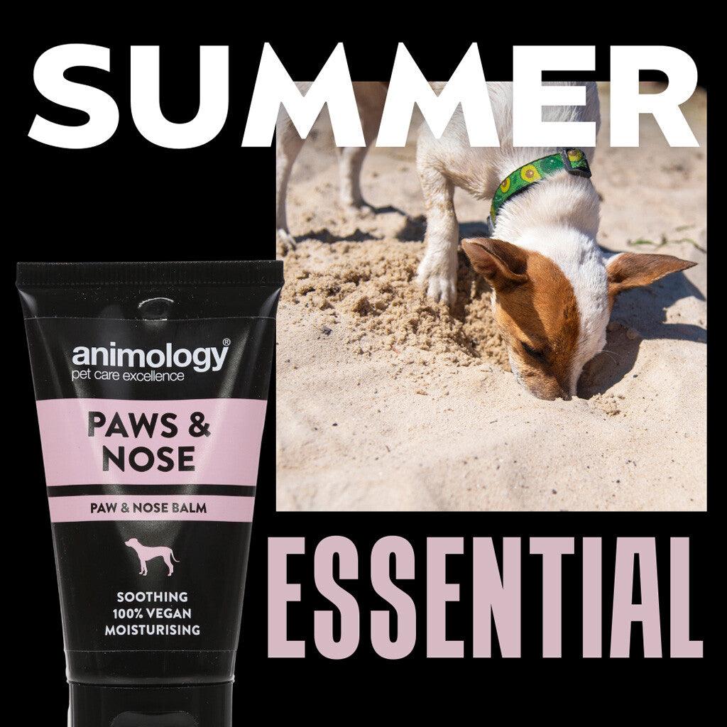 Animology Paws & Nose Balm 50 ml - Zimpel