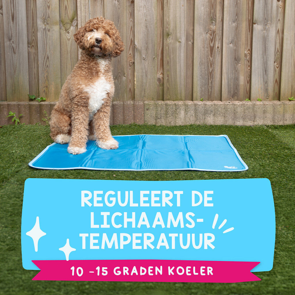 Coolpets Premium Solid Gel Coolmat S (40X50cm) - Zimpel