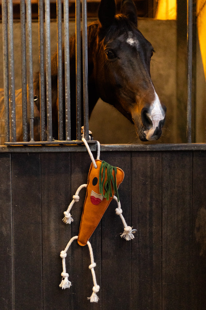 Excellent Horse Foodie Friends Carrot