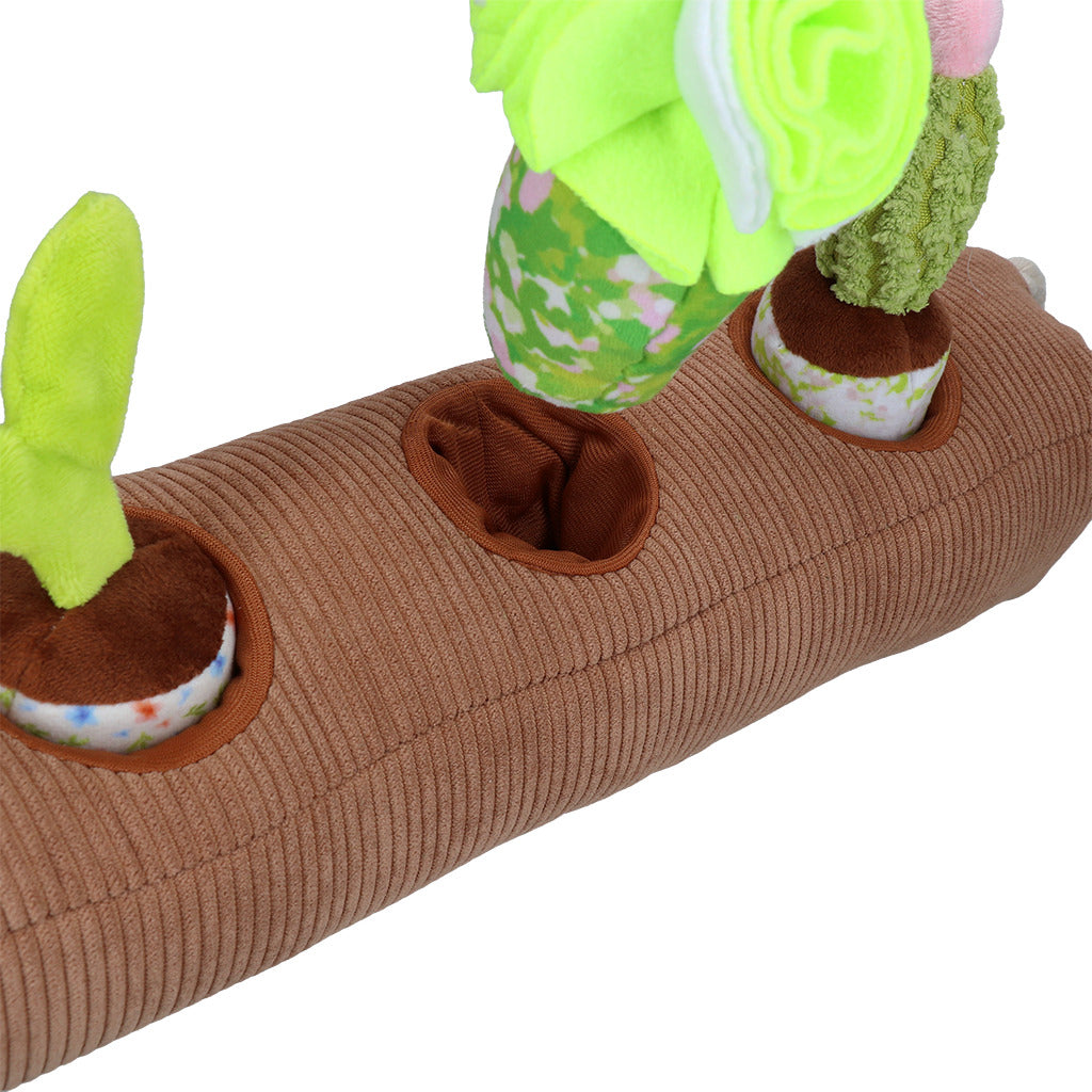 Garden Paws Snuffle Box Sprout, Crop & Cactus