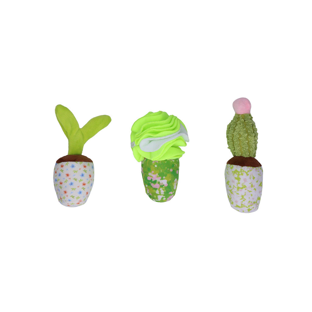 Garden Paws Snuffle Box Sprout, Crop & Cactus