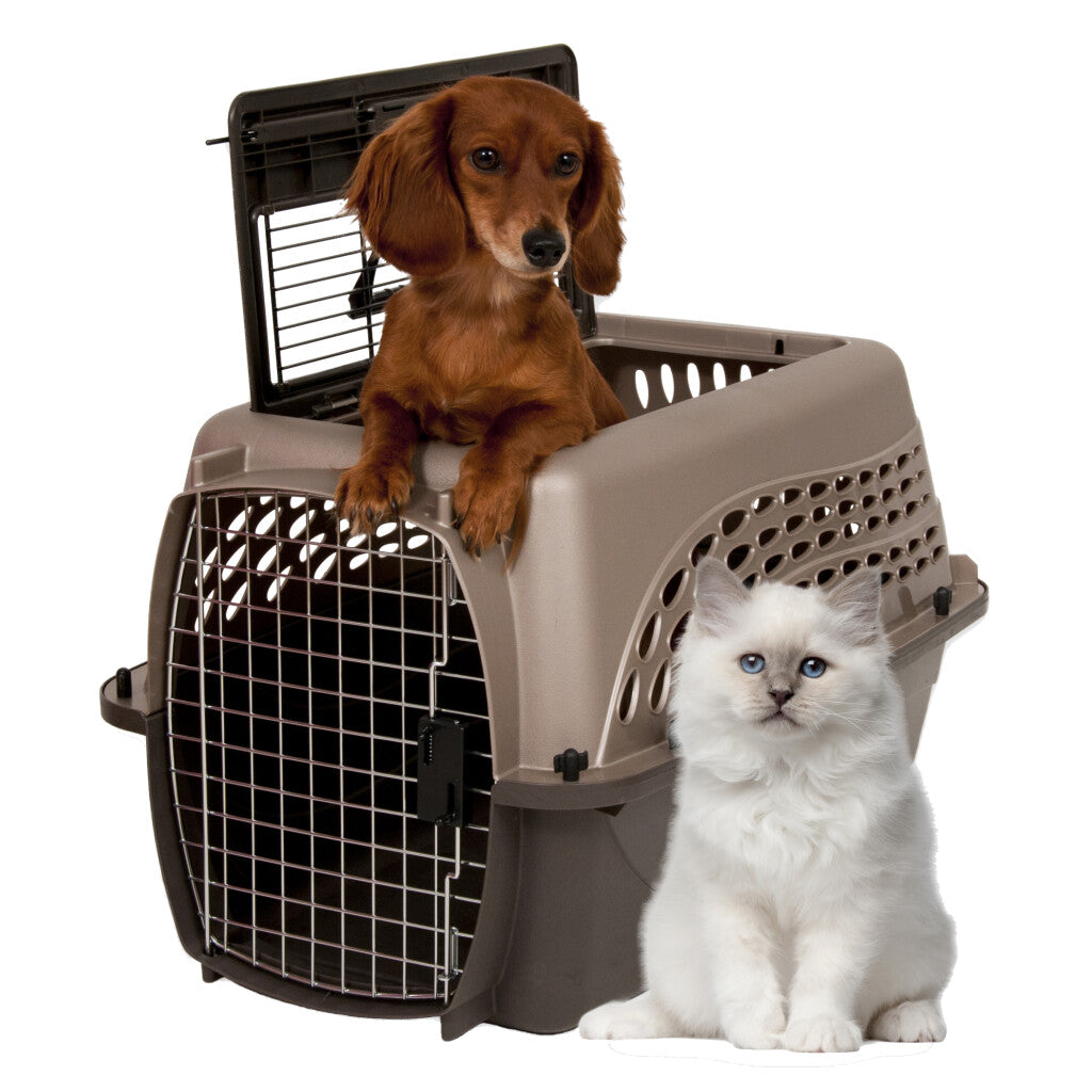 Petmate 2 Door Kennel Bruin S - Zimpel