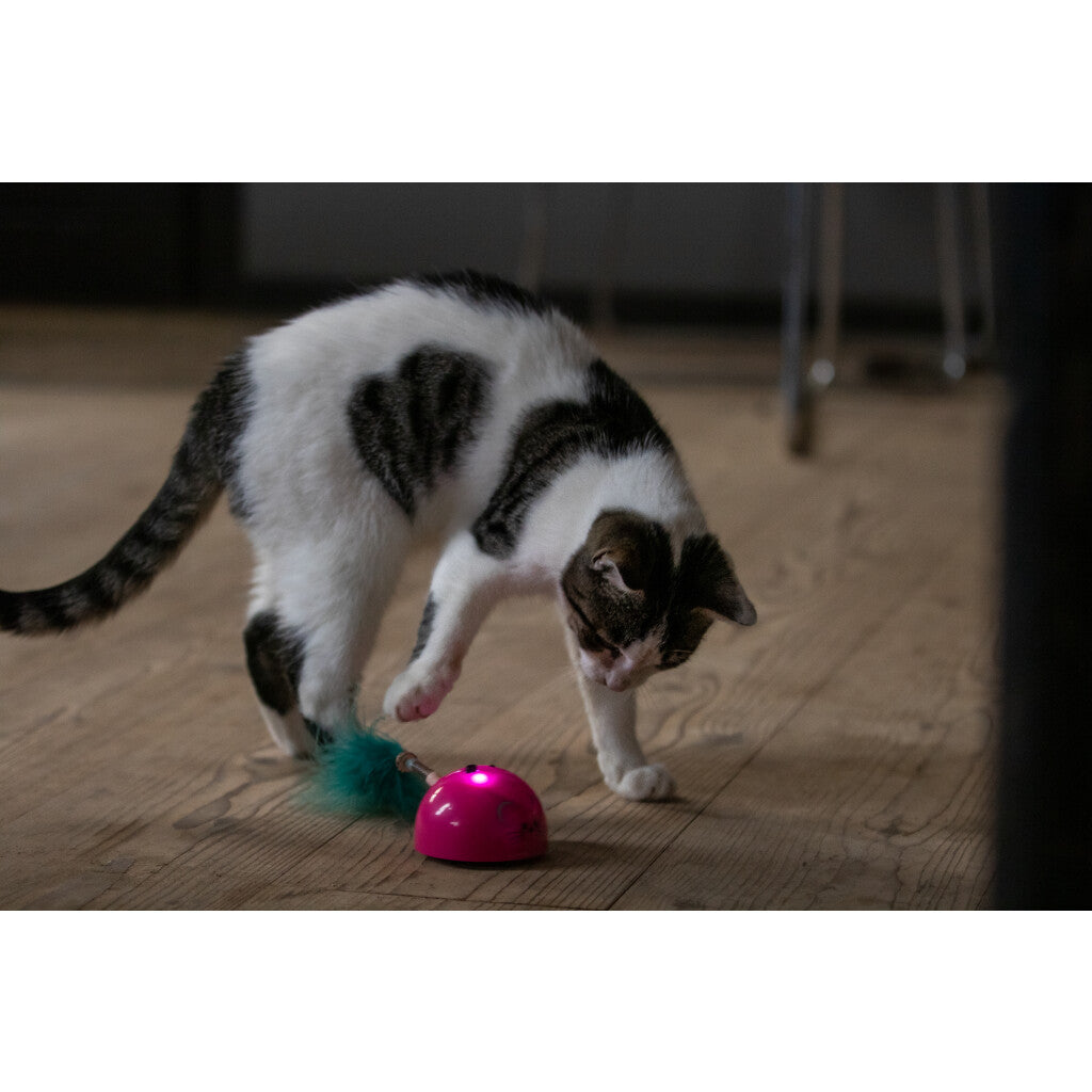 Robocat Muis Petrol - Zimpel