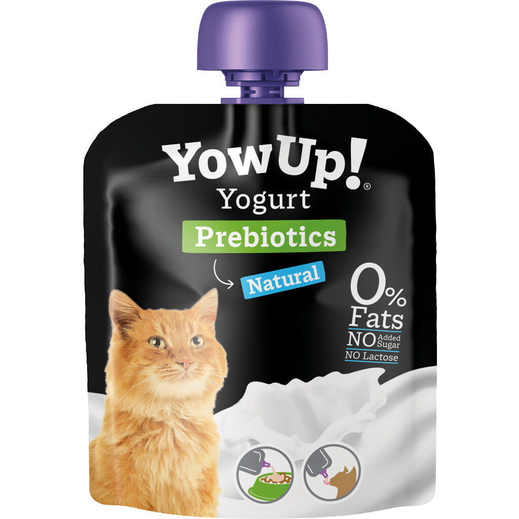 YowUp Yogurt Cats Salmon Skin & Hair (Doos 10 stuks) - Zimpel