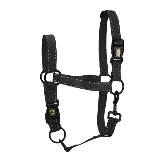 Excellent Premium Halster Zwart XS