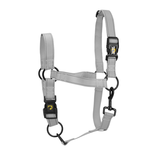 Excellent Premium Halster Grijs XS