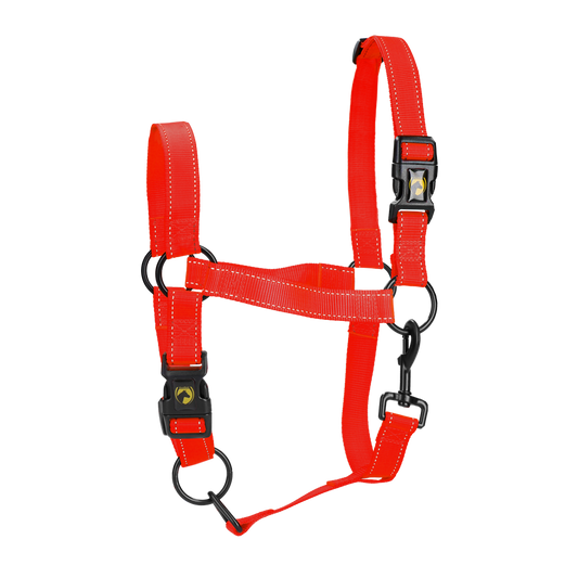 Excellent Premium Halster Rood XL