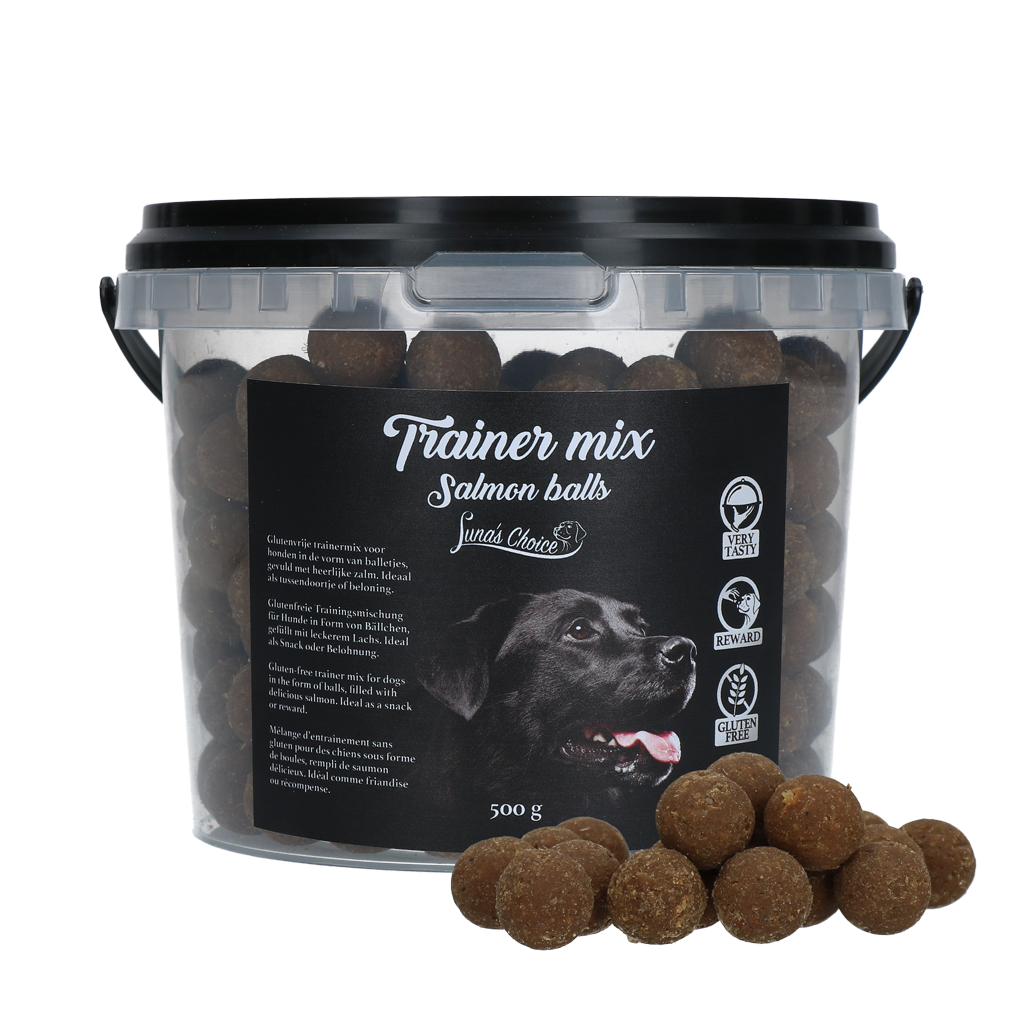 Luna's Choice Trainer Mix Zalm Balletjes (glutenvrij)