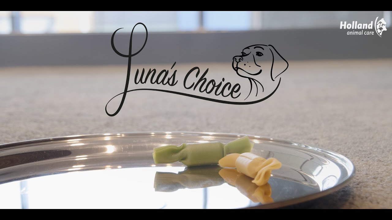 Luna's Choice Trainer Mix Rundvlees ringen