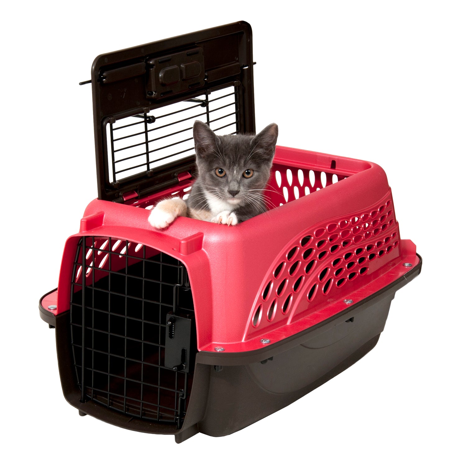 Petmate 2 Door Kennel Roze XS