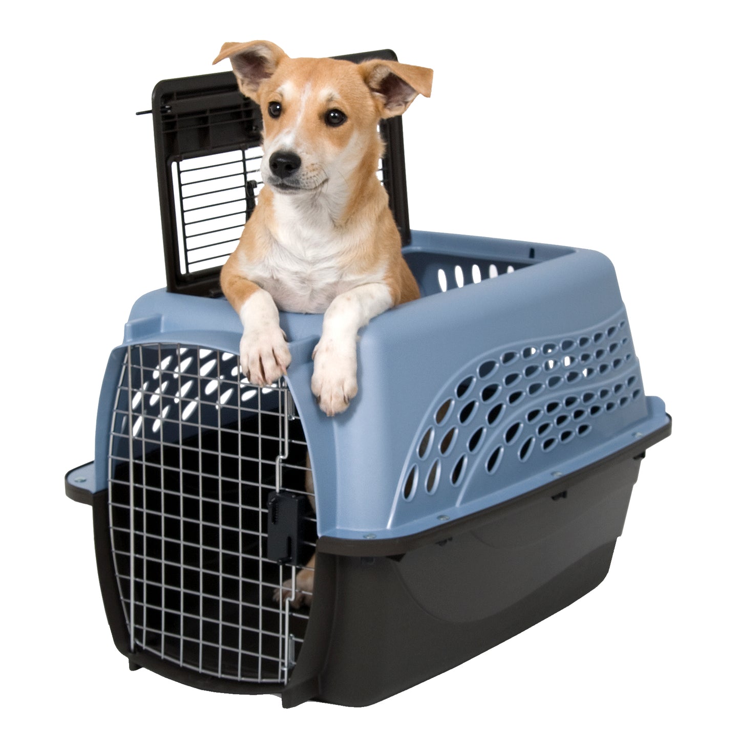 Petmate 2 Door Kennel Blauw S