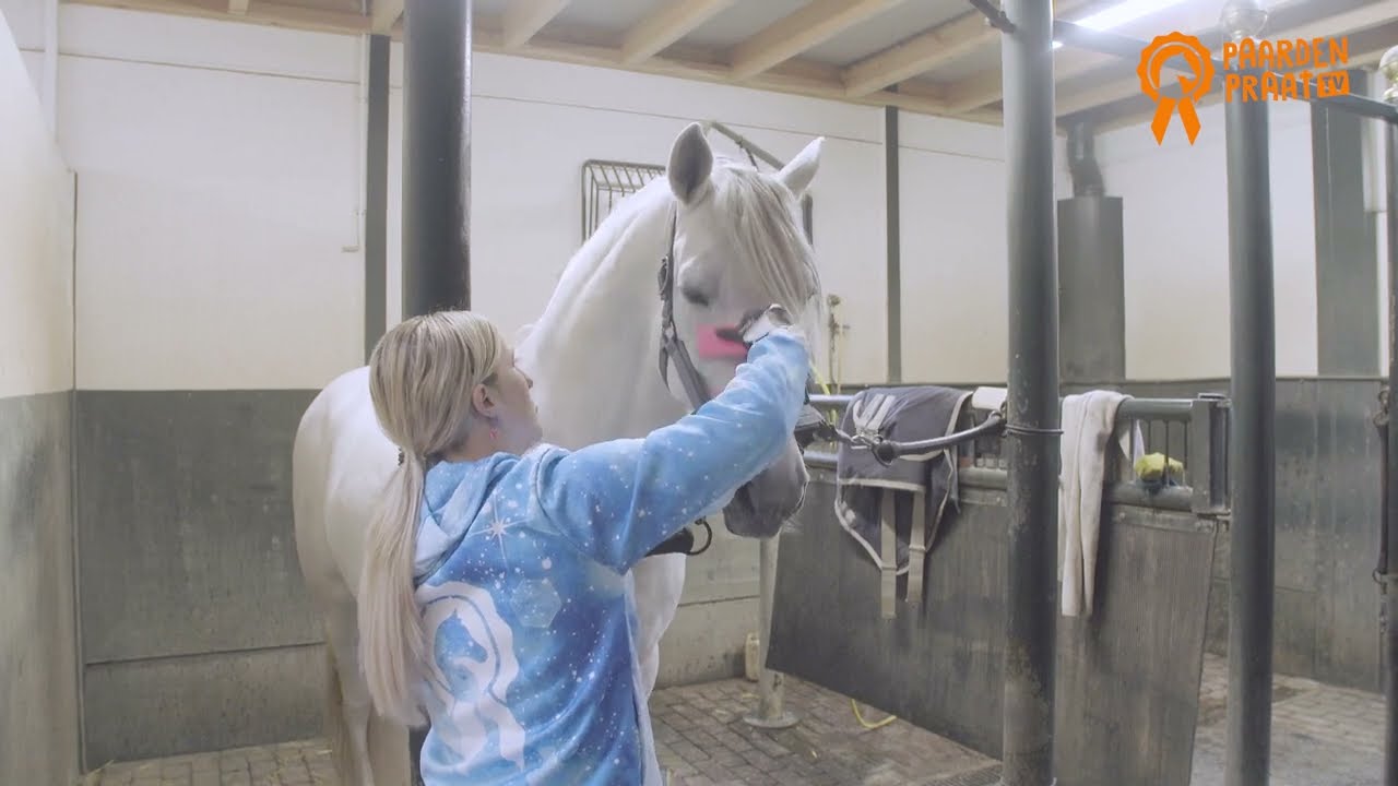 Paardenpraat Grooming Brush Roze M