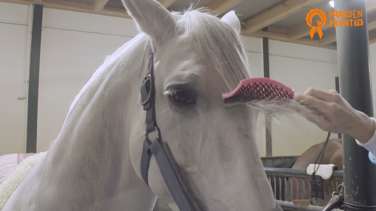 Paardenpraat Horse Supreme Borstel Roze